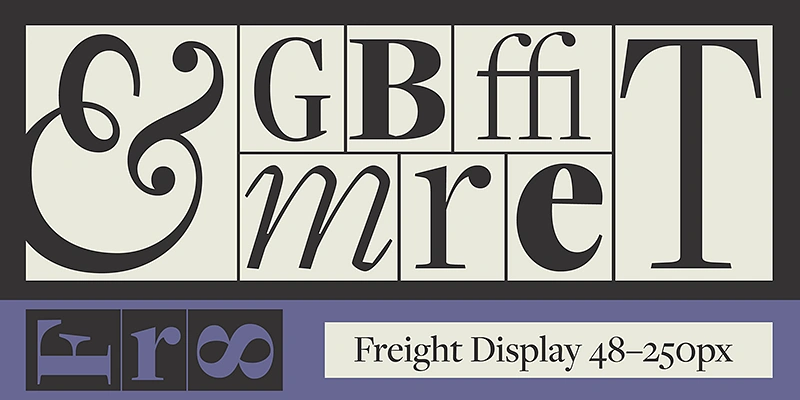 12 Preppy Fonts That Scream Elegance and Style | ResourceFlix Freight display