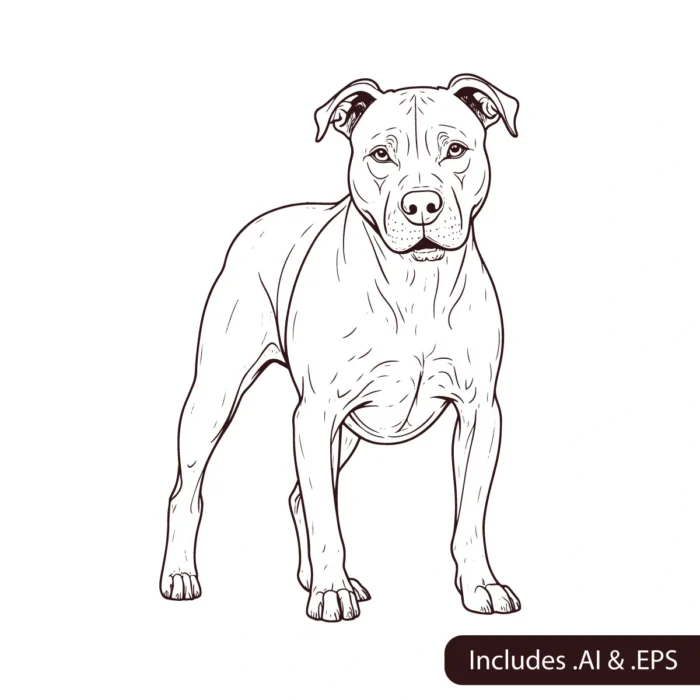 Pitbull line art download