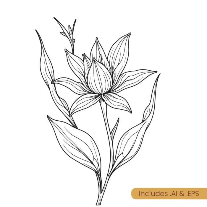 botanical line art download