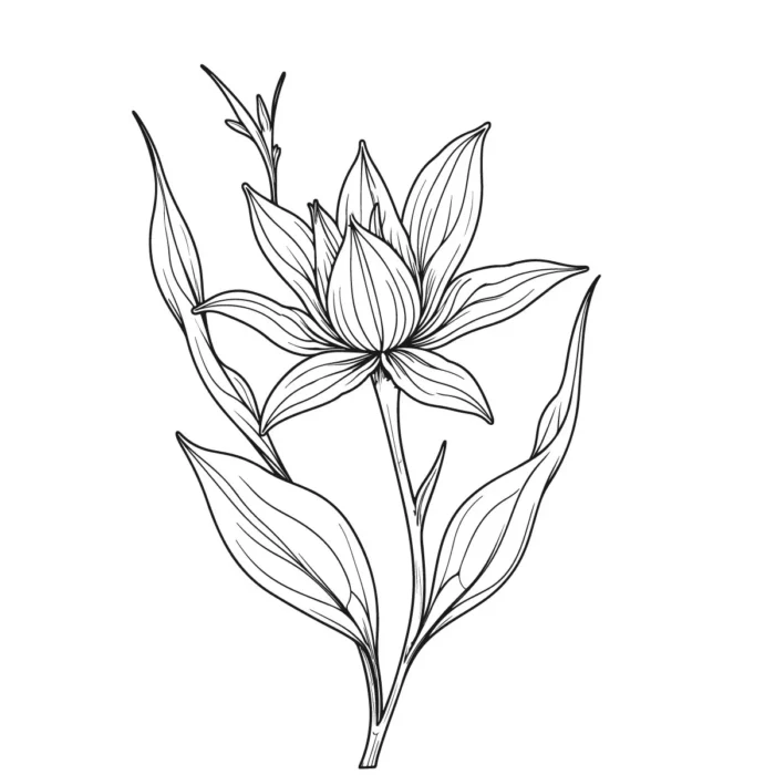 Botanical line art vector for logos, packaging, invites, and digital designs in AI, EPS, and PNG.