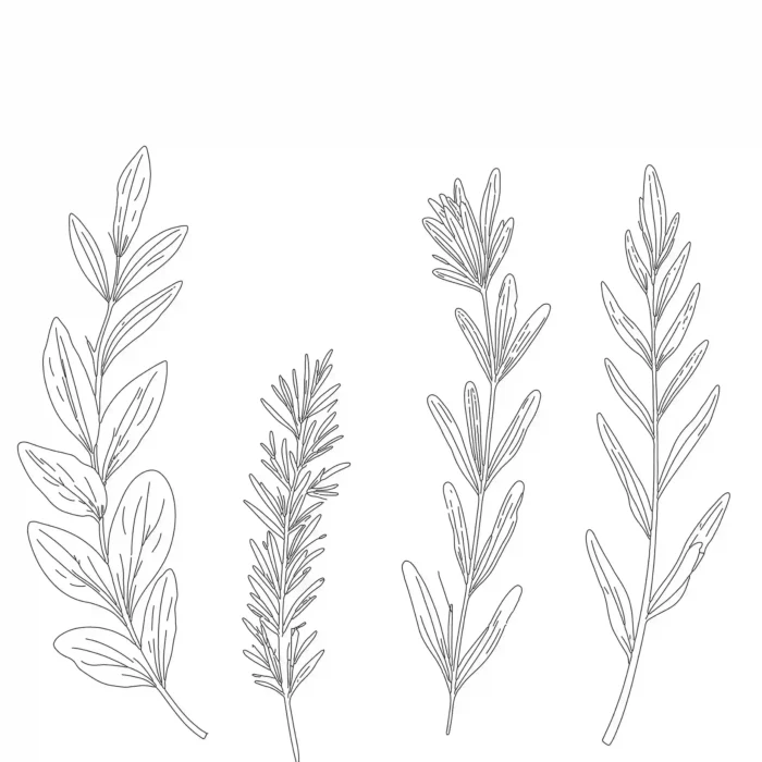 Minimalist 4 leaves line art in vector format for eco branding, packaging, and social media.