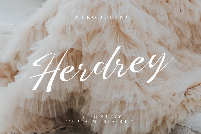 12 Preppy Fonts That Scream Elegance and Style | ResourceFlix Herdrey by Typia Nesia