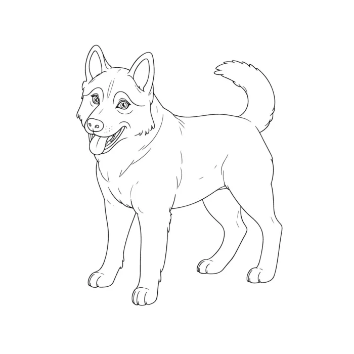 Husky line art download