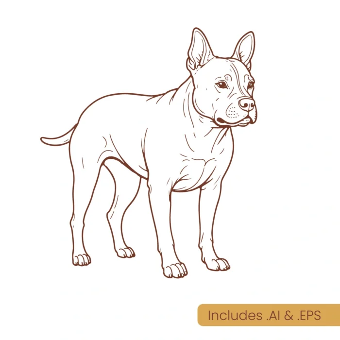 American bully line art download