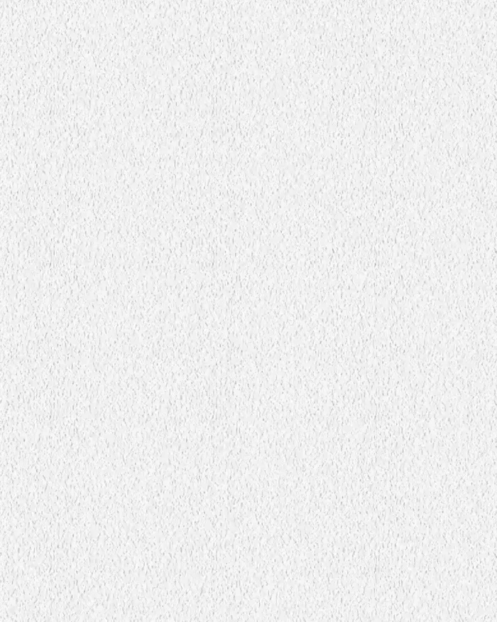 High-quality white wall texture for minimalist backgrounds and modern design projects.