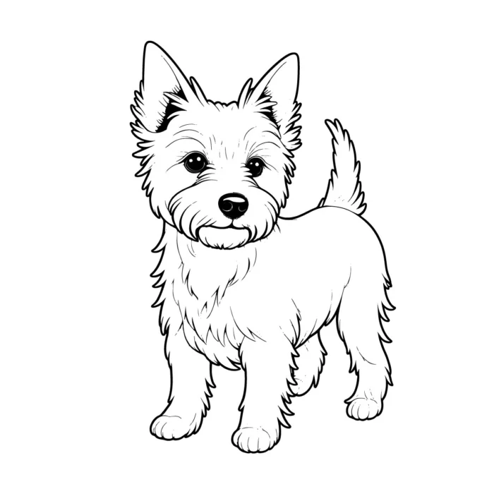 Yorkshire Terrier line art vector for pet logos, dog packaging, and professional branding use.