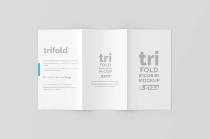 Professional Trifold Brochure Mockup