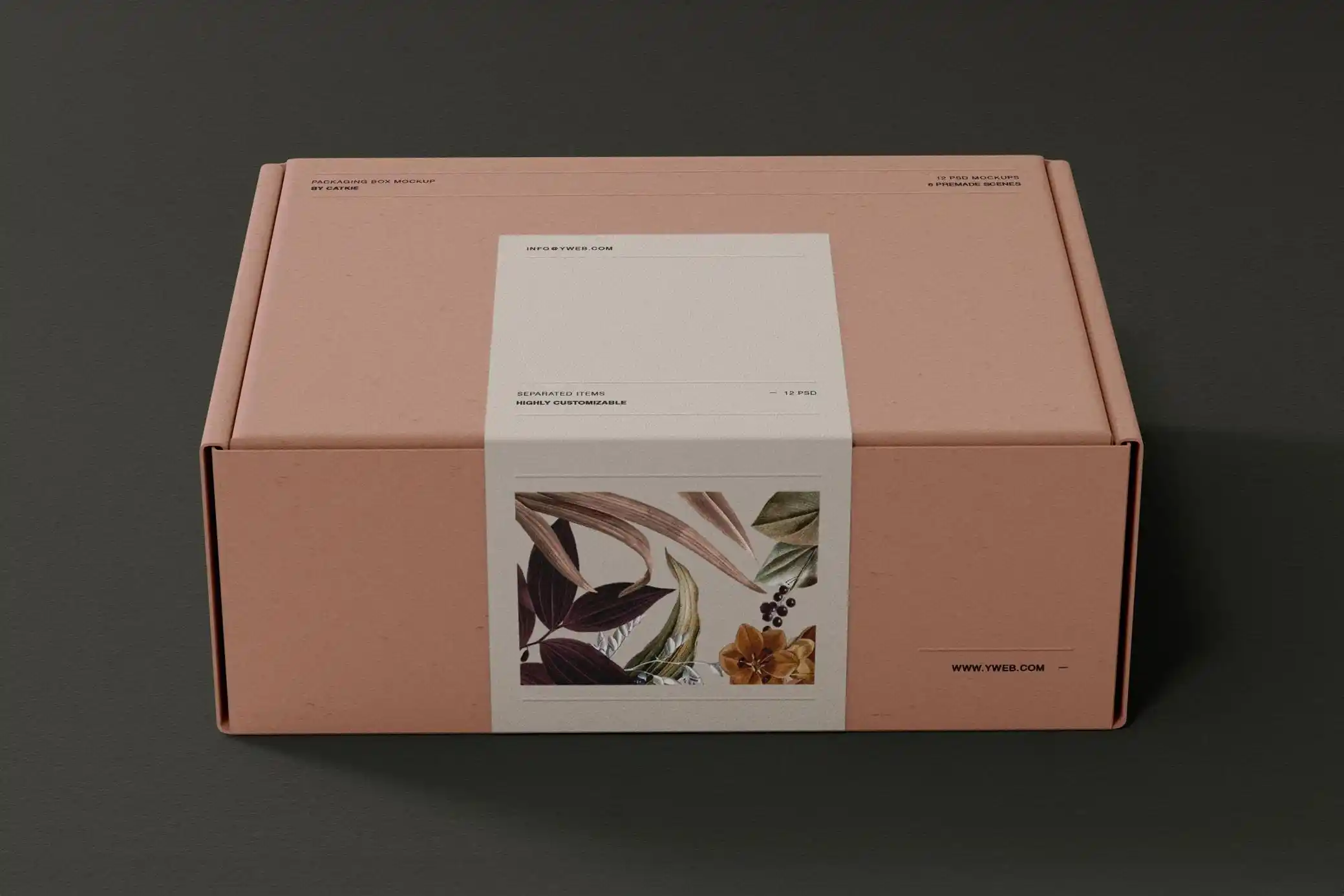 Free Shipping Box Mockup for showcasing custom packaging designs.