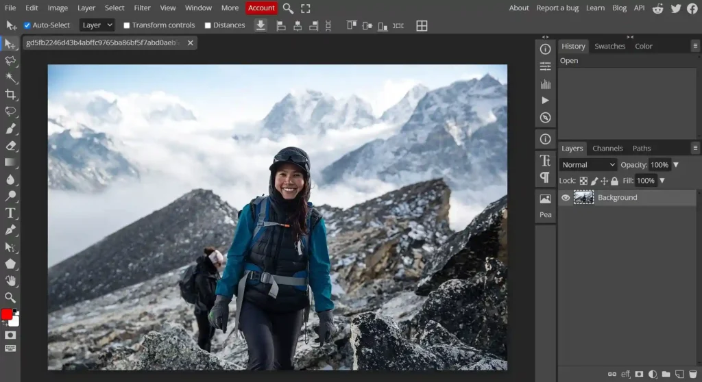 17 Best Free Graphic Design Software in 2025 | ResourceFlix Preview of Photopea