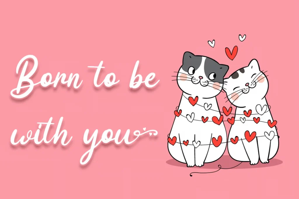 24 Beautiful Romantic Fonts to Celebrate Love All Year Long | ResourceFlix Diana Crush – Wedding Font