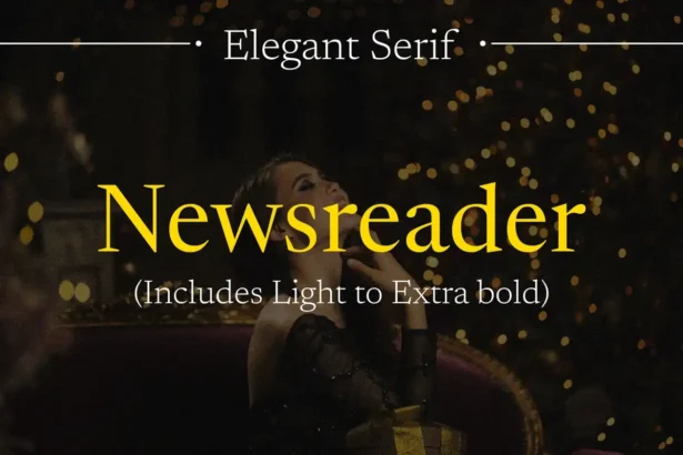Newsreader Serif