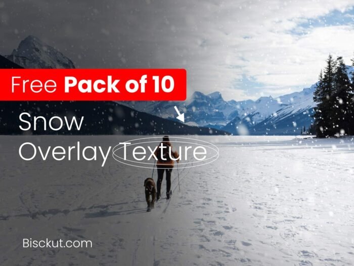 Realistic snow overlays for winter photo effects, holiday cards, and seasonal graphic designs.
