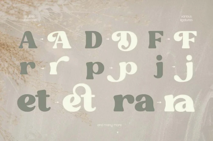 Fresh Almond – Elegant Serif Font - Image 2