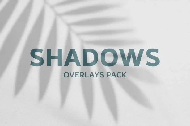 Realistic leaf shadows overlay for branding, social media, and photo edits.