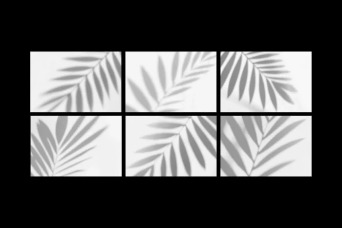 Free Leaves Shadows Overlay Pack - Image 2