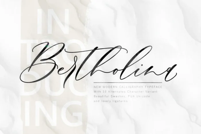 Elegant Bertholina Script font sample with swashes and ligatures on white background