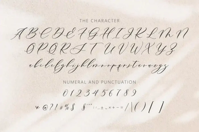 Bertholina Script – A Flourishing Calligraphy Font - Image 4