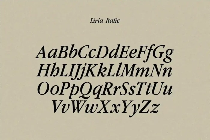 Liria Serif Typeface - Image 3