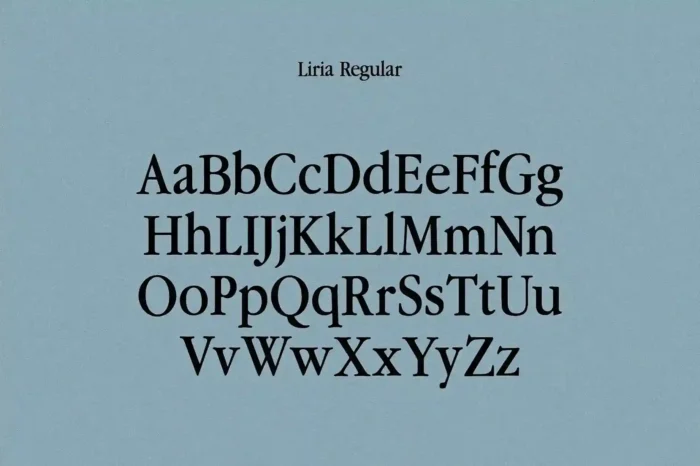 Liria Serif Typeface - Image 4