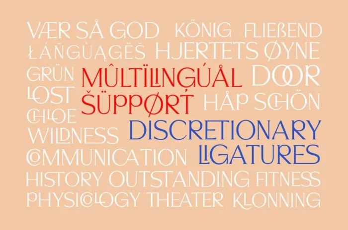 Signore Serif Typeface showcasing uppercase and lowercase luxury letterforms