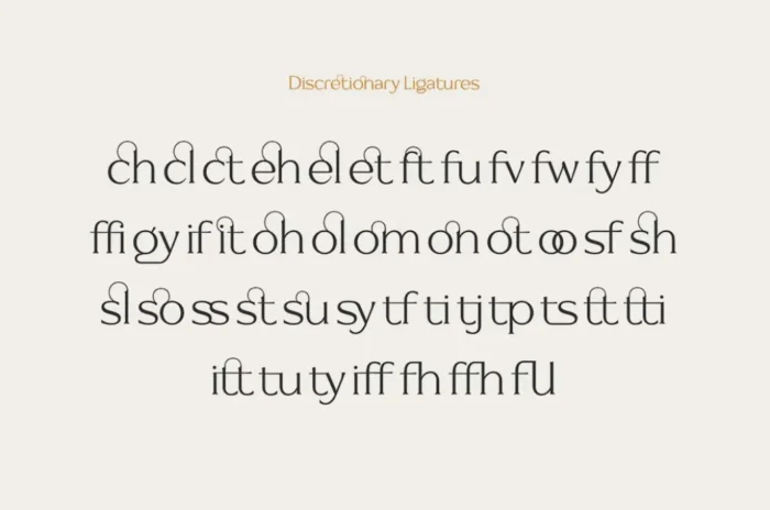 Signore Serif Typeface - Image 4