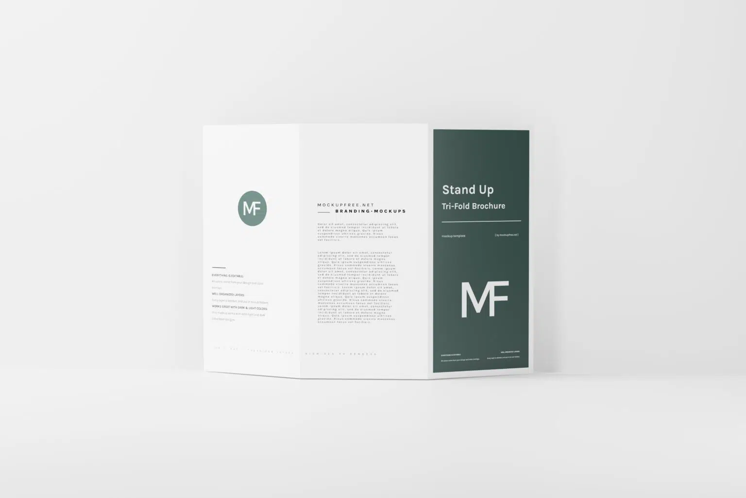 Free Stand Up Tri Fold Brochure Mockups