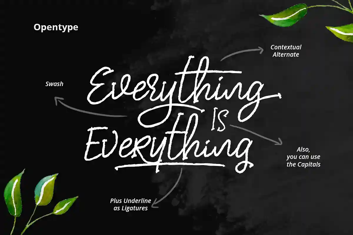 Dear Disya Handwritten Font1