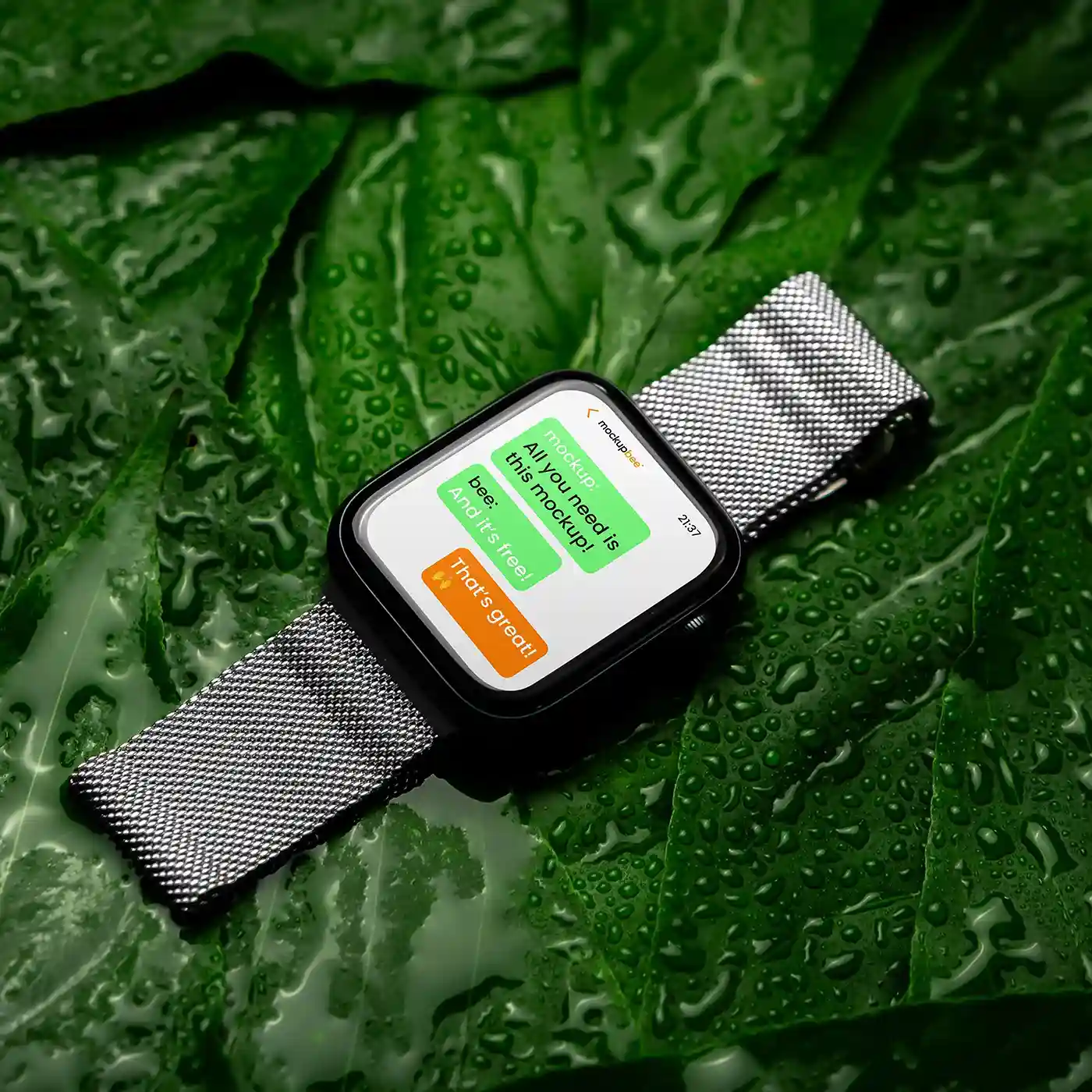 Free Smart Watch on Leaf Mockup