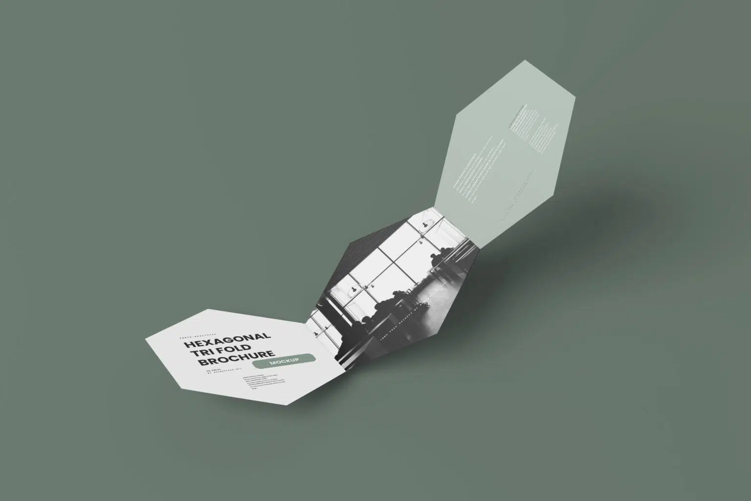 Free-Hexagonal-Tri-Fold-Brochure-Mockup-set-PSDT.webp