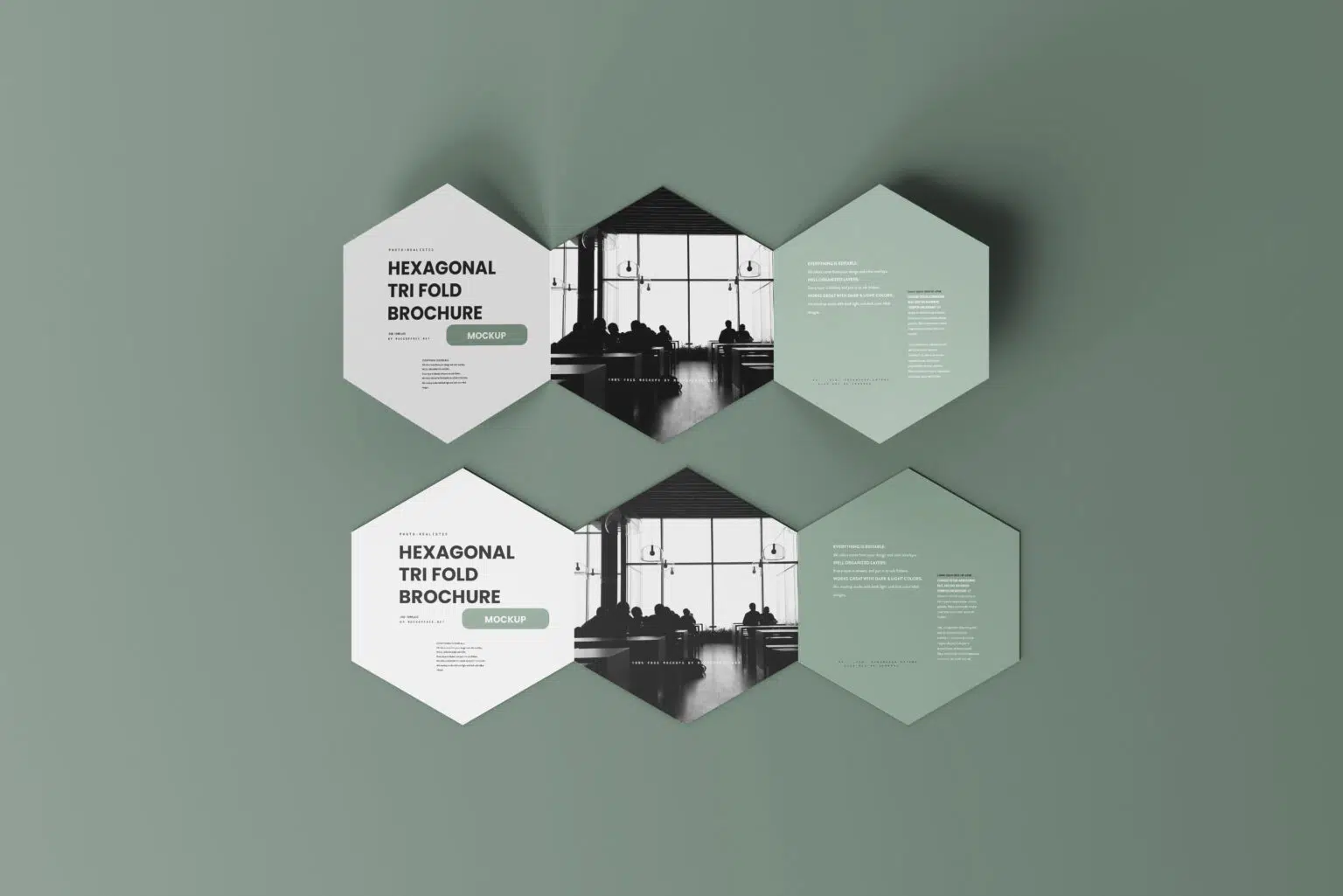 Hexagonal-Tri-Fold-Brochure-Mockup-PSD-set.webp