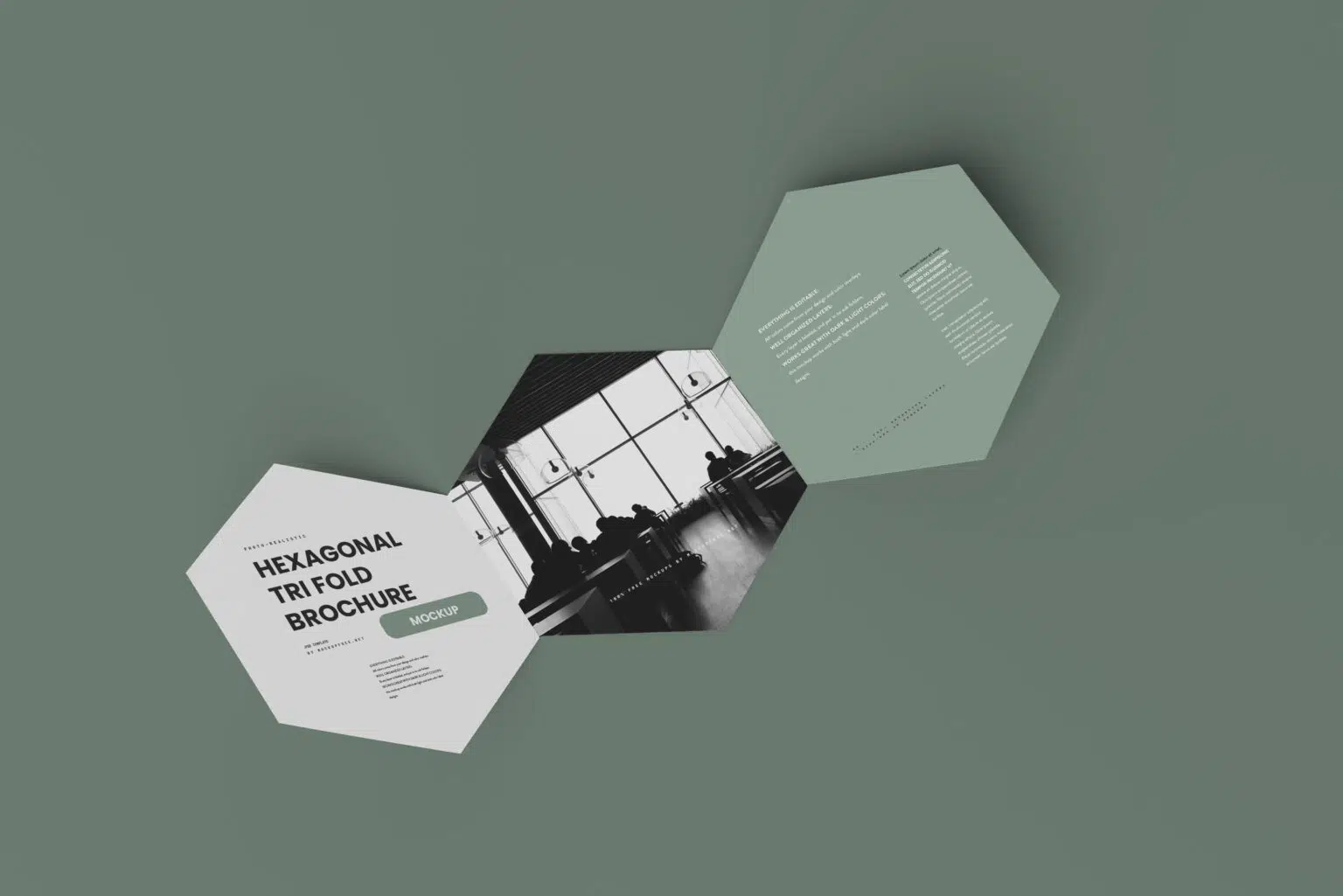 Hexagonal-Tri-Fold-Brochure-Mockup-set.webp