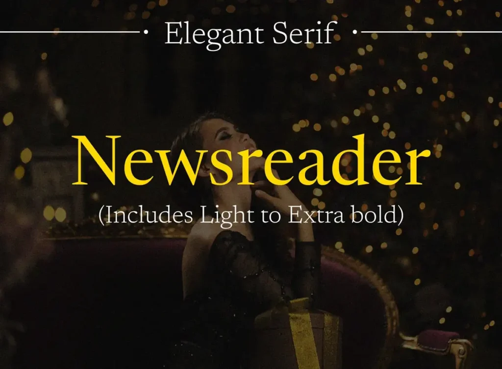 Newsreader Serif